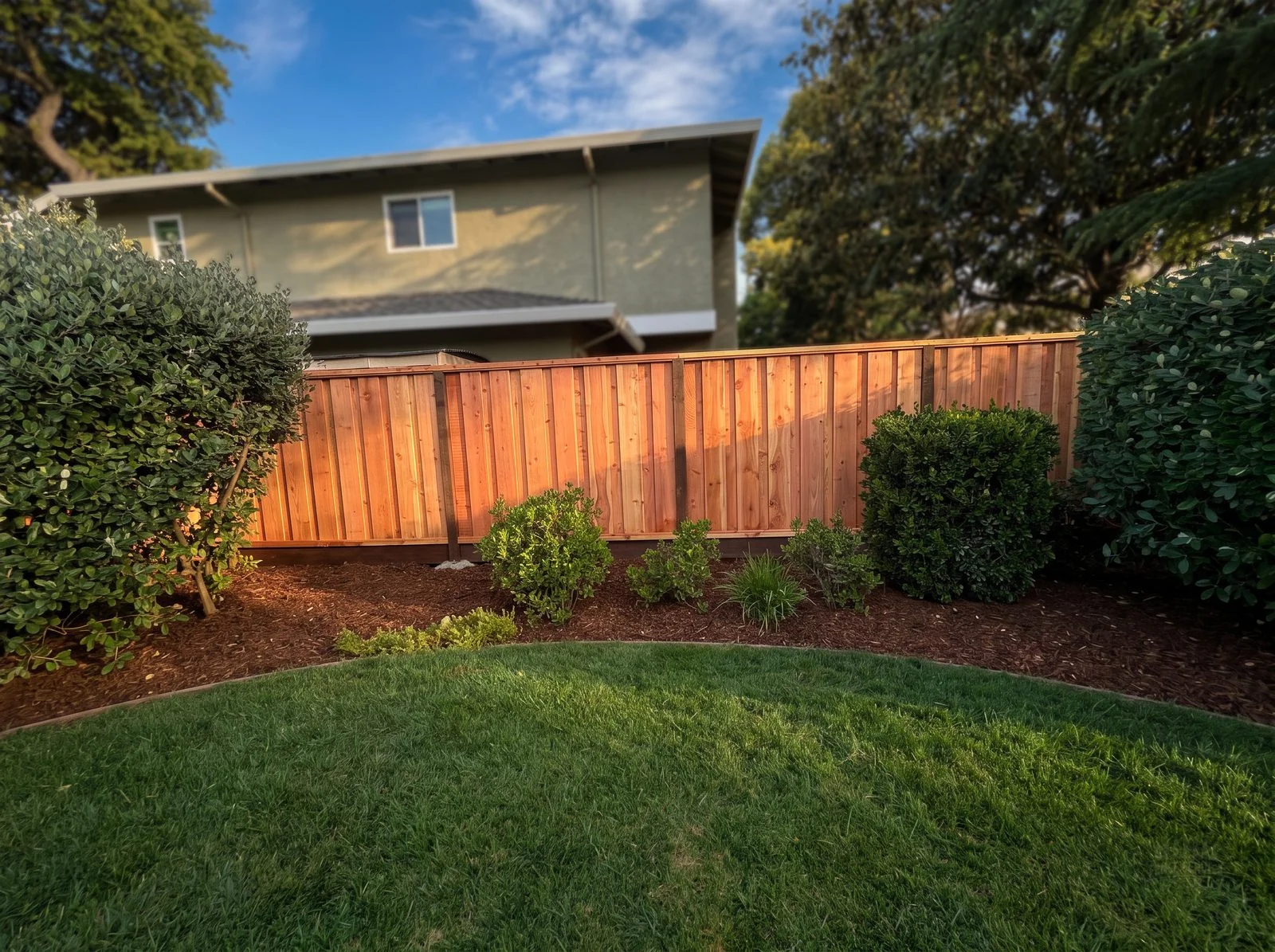 Cedar privacy fence along green lawn