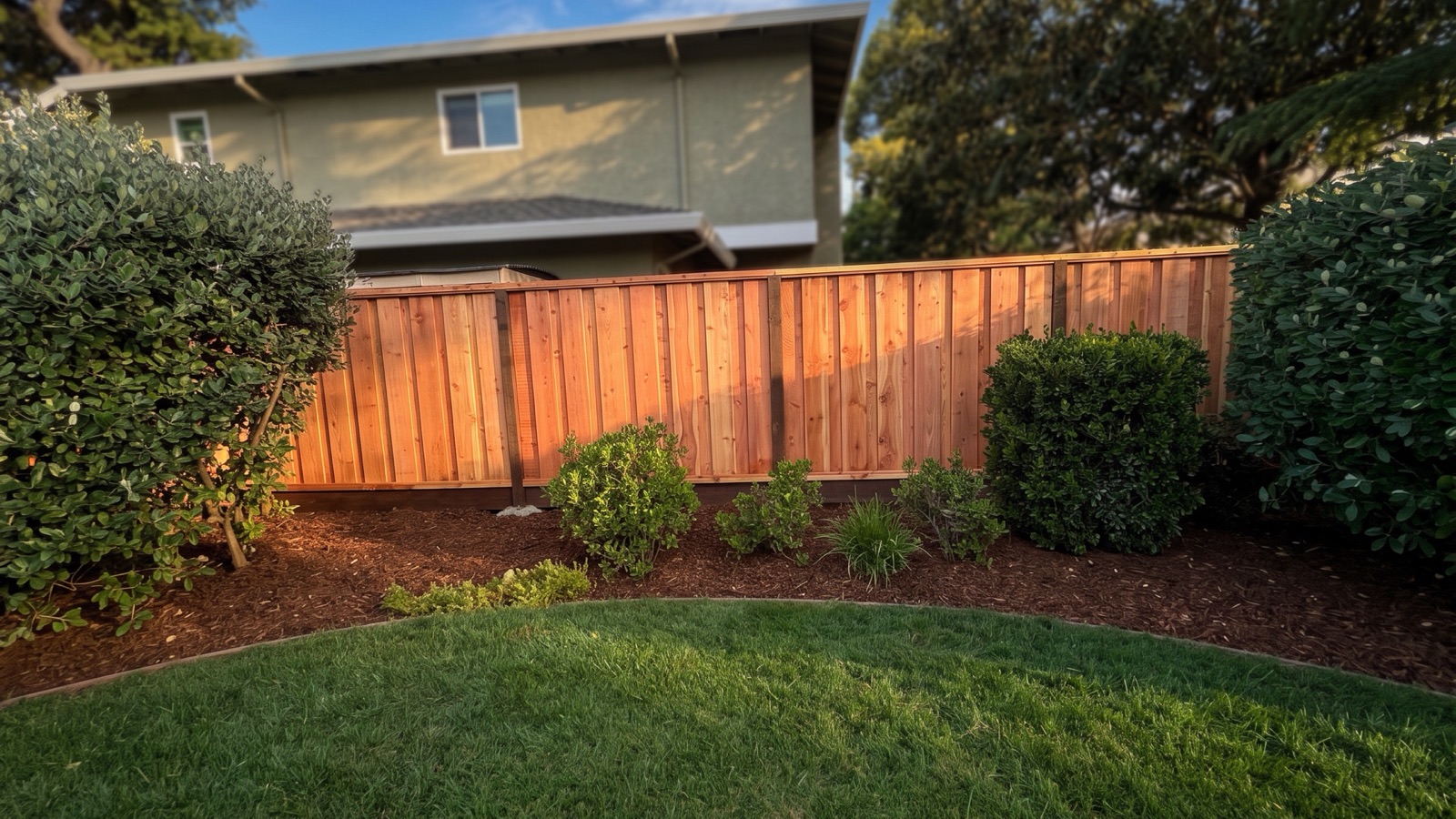 Cedar privacy fence along a landscaped Bay Area lawn